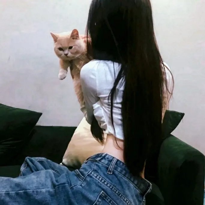 美月琪花